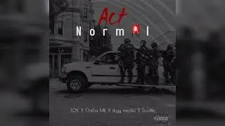 JOK x Chilla Mk x ScottB x skyy medzz.   Act normal (Audio)