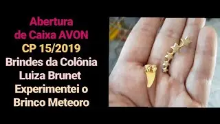 Abertura de caixa AVON  CP 15/2019 - Brindes da colônia Luiza Brunet,  experimentei brinco meteoro