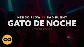 Ñengo Flow, Bad Bunny - Gato De Noche (Video Lyric)