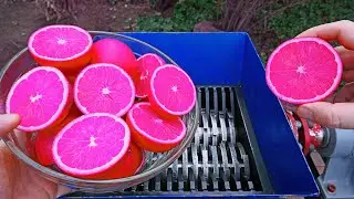 Shredding STRANGE & WEIRD Fruits, Vegetables!
