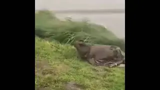 когда не поверил синоптикам и поехал на рыбалку)))