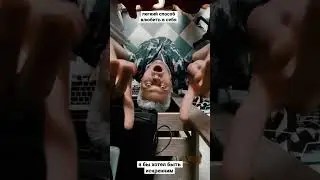 В поисках свежего саунда🐦 