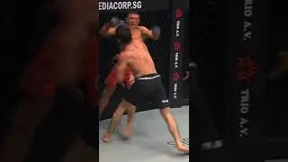 Amazing 🤯 #ufc #mma #shortsvideo