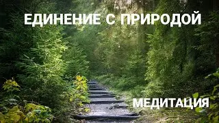 Медитация ЕДИНЕНИЕ С ПРИРОДОЙ. Истинное звучание.