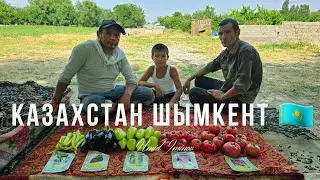 "BURSA TOHUM" УРУГЛАРИ КАЗАХИСТАНДА БОМБА💥НАТИЖА👍👍👍
