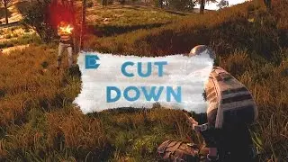 CUT DOWN! - Battlegrounds