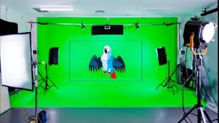 #Tuni chirrhya cartoon# green screen birds cartoon#cartoon #greenscreen green screen birds videos