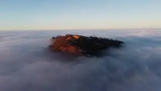 Ц1ен берд
