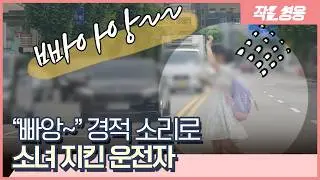 손들고 횡단보도 건너던 아이, 아찔한 순간에 울린 경적 [작은영웅]