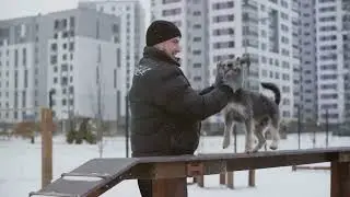 Cute puppy showdown 🥰
