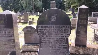 Новое еврейское кладбище в Пшемыслю №9   New Jewish cemetery in Przemysl   Nowy cmentarz żydowski