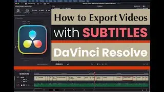How to Export Videos with Subtitles in DaVinci Resolve: How to Export Videos with Subtitles Embedded