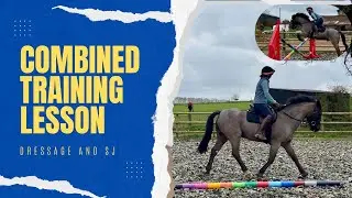 Dressage and Show jumping lesson