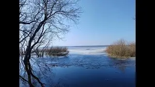 выехал на палик 02 03 24
