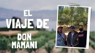 Misión cumplida- Después de 52 años Don Mamani Vuelve a vivir con su Hija