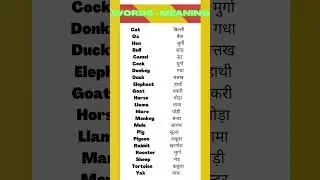 learn english animals name words Meaning | learn English words 