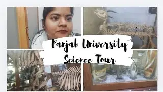 B.ed classes Experience #bed #panjabuniversitychandigarh #meusum#panjabuniversitynewstoday