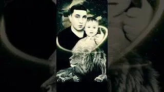 на приколе  https://donate.qiwi.com/payin/denis28rusia