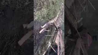 Укладка лежневки Т-150
