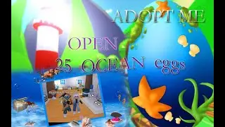 Открываю 25 морских (ocean eggs) яиц. Соревнование сколько легендарных питомцев мы получим.