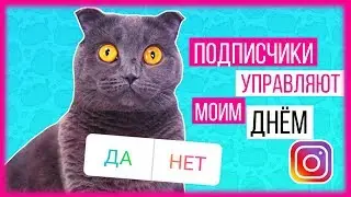 ПОДПИСЧИКИ УПРАВЛЯЮТ МОИМ ДНЕМ | ДНЕМ КОШЕЧКИ БАТТЕРС