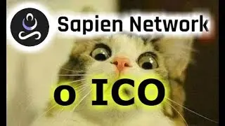 Краткий обзор ico Sapien Network и мнение по инвестиционной привлекательности
