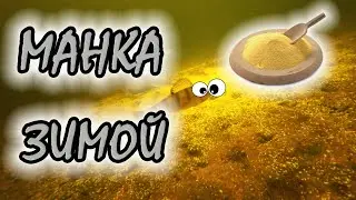 Манка на плотву зимой в качестве прикормки? ПОДВОДНАЯ КАМЕРА