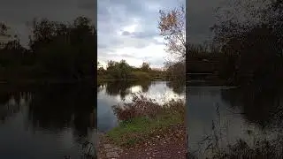11 ноября 2023 г.
