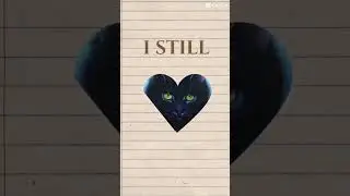 -||Hollyleaf edit||-#warriorcats