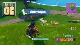 VICTORY ROYAL FORNITE OG BACK