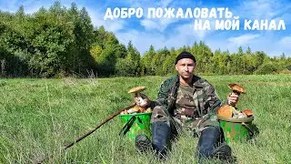 Любите природу? А грибы собирать? Может на рыбалку? Или на раскопки? Тогда вам сюда ...