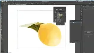 Adobe Illustrator Image Trace