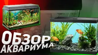 ОБЗОР МОЕГО АКВАРИУМА СПУСТЯ 4 ГОДА | АКВАРИУМ