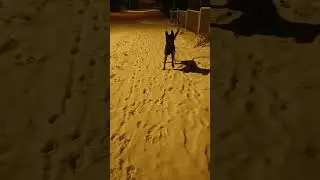 новый сезон