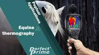 PerfectPrime IR0019 Thermal Imaging Camera