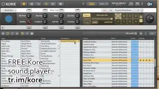 Native Instruments Kore Soundpack- Acoustic Refractions VST