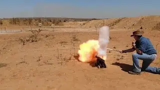 The spectacular force of a double charged and shotted round from a quarter pounder.