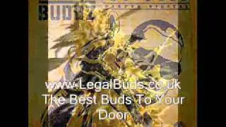 PlayBack - PlayBack - Collie Buddz - Reggae Lovers 2011 New