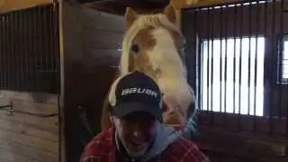 Horse Uses Roy as a Dinner Plate