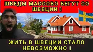   В ШОКЕ СО ШВЕЦИИ ❗ КАК ЛЮДИ ТАТ ЖИВУТ ❓