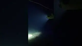 Night Snorkeling with Underwater Drone, #FIFISH
