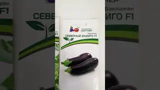 Моя часть семян на следующий сезон! #дача #огород #garden