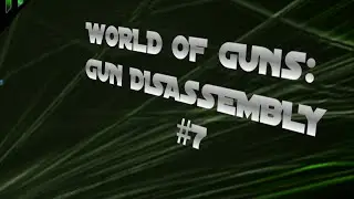 World of Guns: Gun Disassembly: SIG SG552