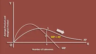 Average Product and Marginal Product curves - Relation
