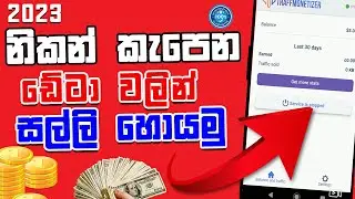 EARN MONEY DOING NOTHING | MAKE MONEY ONLINE FREE 21$ PAYOUT-TRAFFMONETIZER | E MONEY SINHALA