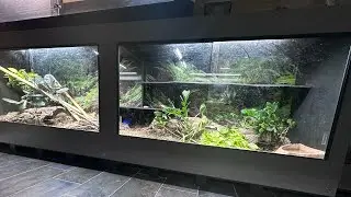 One year later 🥰