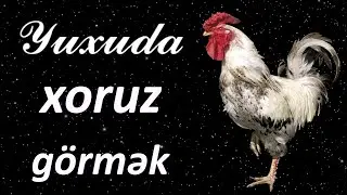 Yuxuda xoruz görmək ☾✵ Qısa Yuxuyozma