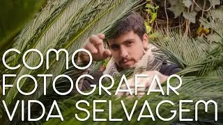 COMO SE TORNAR UM FOTÓGRAFO DE VIDA SELVAGEM