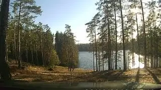 Осень - подруга (Михаил Шелег)