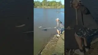 второй сазан,каратал